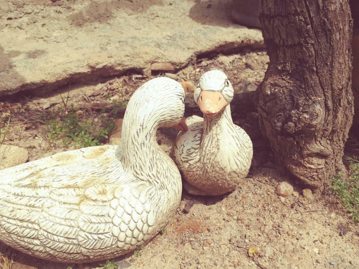 Llampaies Cal Xaietゲストハウス エクステリア 写真