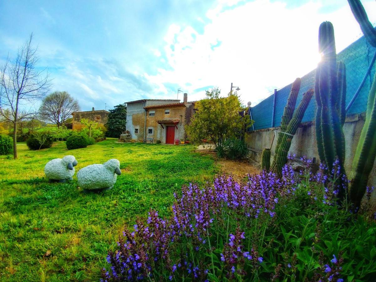 Llampaies Cal Xaietゲストハウス エクステリア 写真